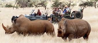 Lewa Conservancy
