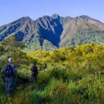 mount Elgon