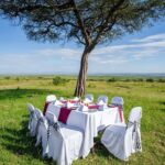 sunset dinner