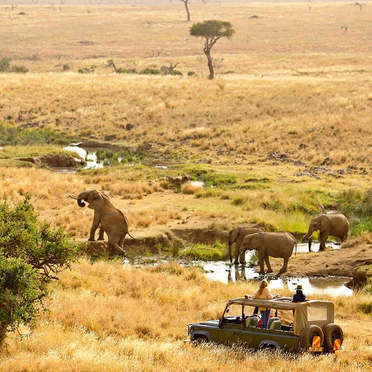 mtkenya mtkenya